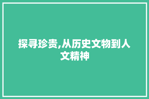 探寻珍贵,从历史文物到人文精神