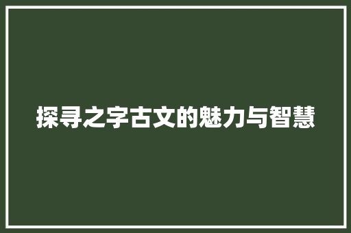 探寻之字古文的魅力与智慧