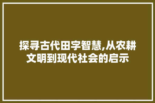 探寻古代田字智慧,从农耕文明到现代社会的启示