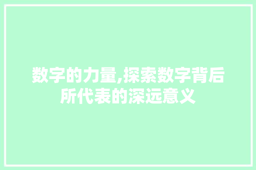 数字的力量,探索数字背后所代表的深远意义