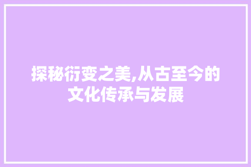 探秘衍变之美,从古至今的文化传承与发展