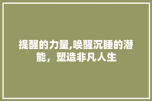 提醒的力量,唤醒沉睡的潜能，塑造非凡人生