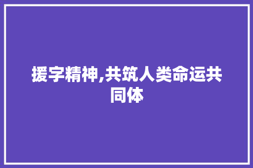 援字精神,共筑人类命运共同体