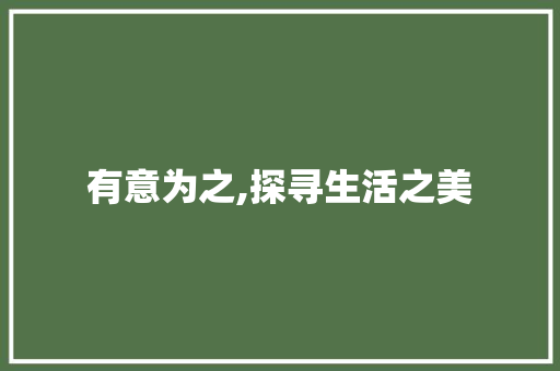 有意为之,探寻生活之美