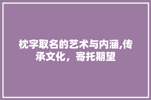枕字取名的艺术与内涵,传承文化，寄托期望