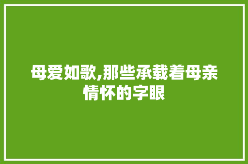 母爱如歌,那些承载着母亲情怀的字眼