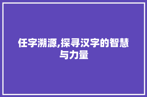 任字溯源,探寻汉字的智慧与力量