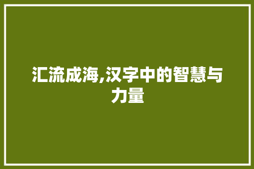 汇流成海,汉字中的智慧与力量