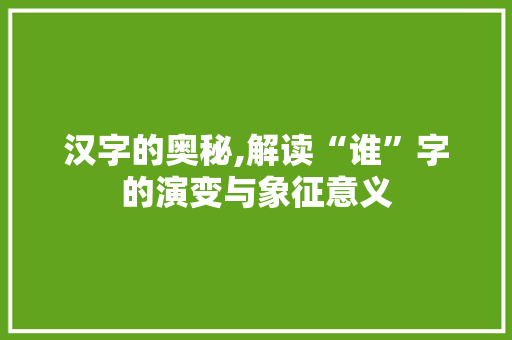 汉字的奥秘,解读“谁”字的演变与象征意义