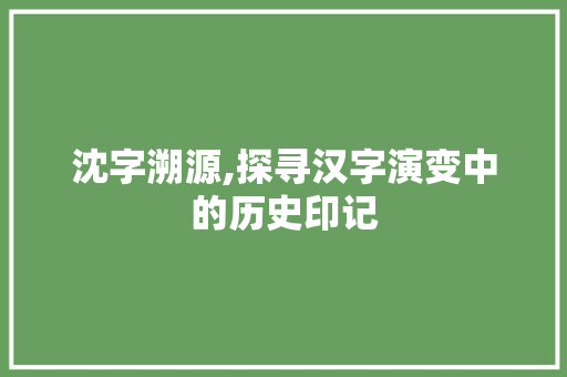 沈字溯源,探寻汉字演变中的历史印记