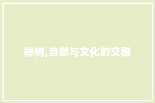 榉树,自然与文化的交融