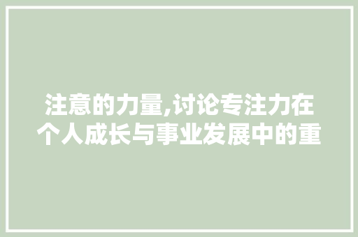 注意的力量,讨论专注力在个人成长与事业发展中的重要性