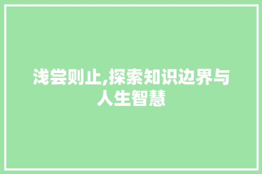 浅尝则止,探索知识边界与人生智慧