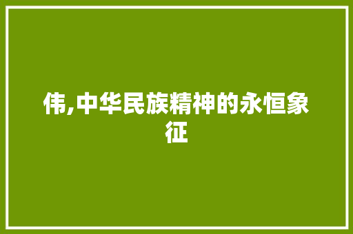伟,中华民族精神的永恒象征
