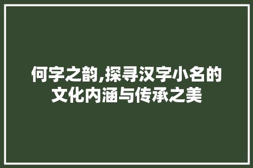 何字之韵,探寻汉字小名的文化内涵与传承之美