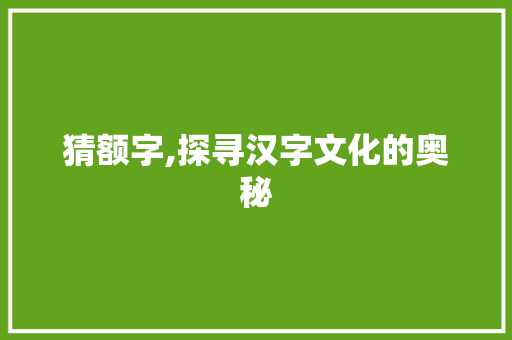 猜额字,探寻汉字文化的奥秘