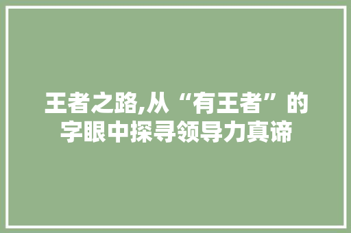 王者之路,从“有王者”的字眼中探寻领导力真谛