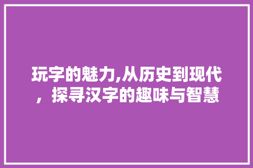 玩字的魅力,从历史到现代，探寻汉字的趣味与智慧