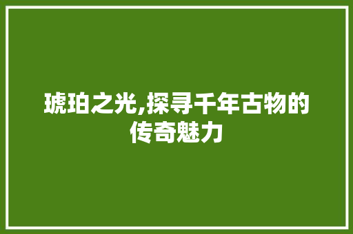 琥珀之光,探寻千年古物的传奇魅力
