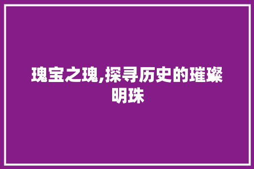 瑰宝之瑰,探寻历史的璀璨明珠