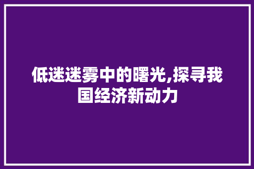 低迷迷雾中的曙光,探寻我国经济新动力