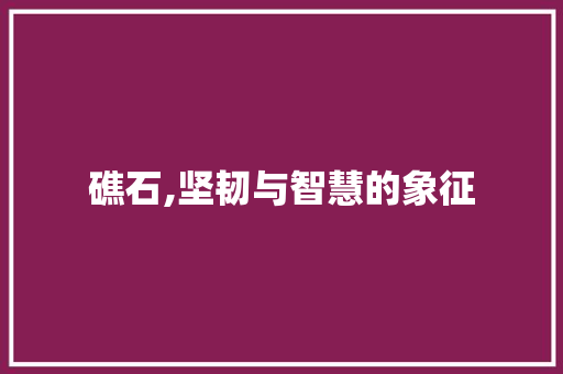 礁石,坚韧与智慧的象征