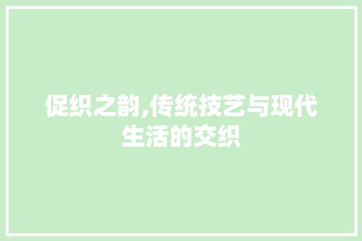 促织之韵,传统技艺与现代生活的交织