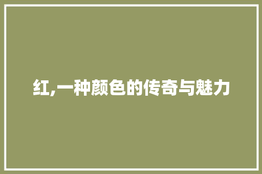 红,一种颜色的传奇与魅力