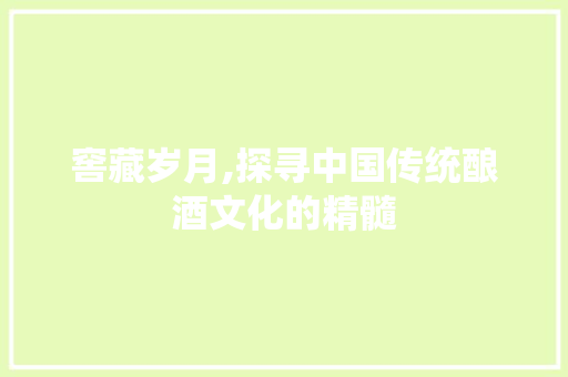窖藏岁月,探寻中国传统酿酒文化的精髓