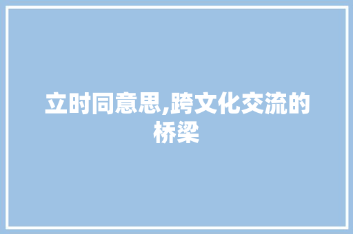 立时同意思,跨文化交流的桥梁