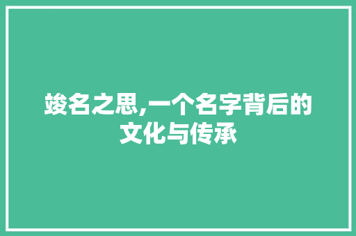 竣名之思,一个名字背后的文化与传承
