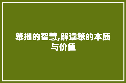 笨拙的智慧,解读笨的本质与价值