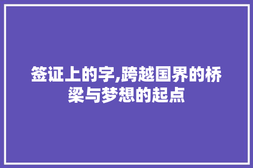 签证上的字,跨越国界的桥梁与梦想的起点
