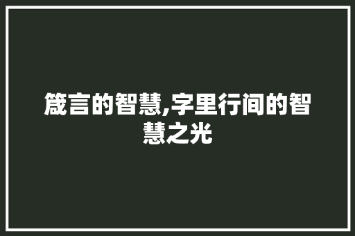 箴言的智慧,字里行间的智慧之光