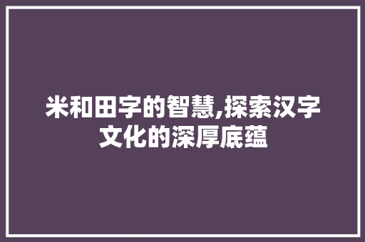 米和田字的智慧,探索汉字文化的深厚底蕴