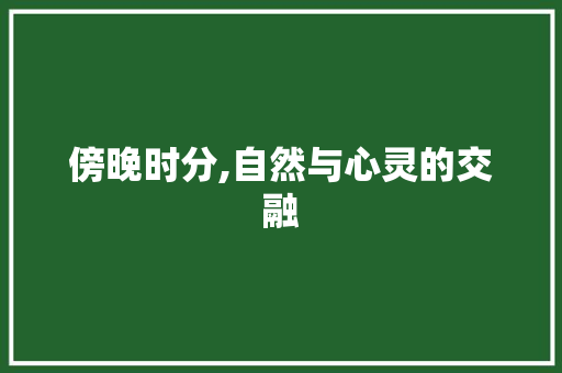 傍晚时分,自然与心灵的交融