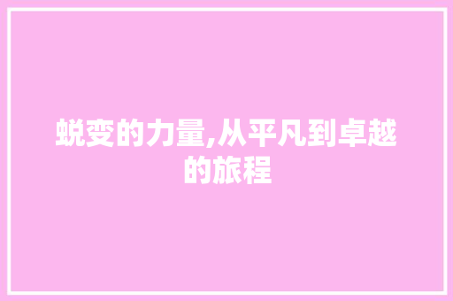 蜕变的力量,从平凡到卓越的旅程