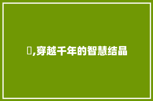 蟞,穿越千年的智慧结晶