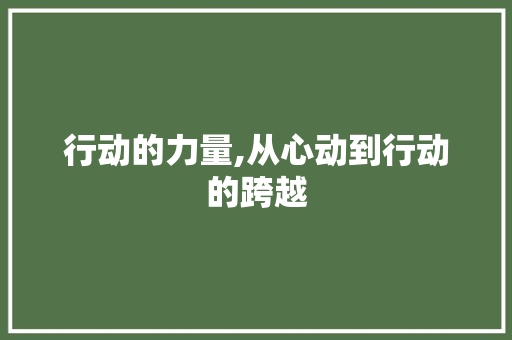 行动的力量,从心动到行动的跨越