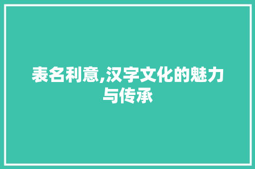 表名利意,汉字文化的魅力与传承