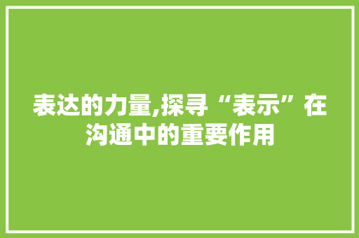 表达的力量,探寻“表示”在沟通中的重要作用