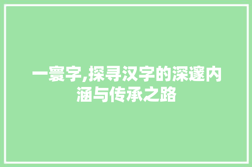 一寰字,探寻汉字的深邃内涵与传承之路