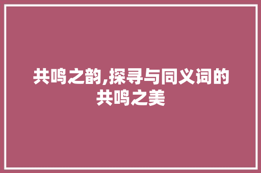 共鸣之韵,探寻与同义词的共鸣之美