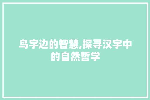 鸟字边的智慧,探寻汉字中的自然哲学