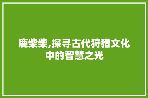 鹿柴柴,探寻古代狩猎文化中的智慧之光
