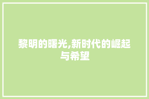 黎明的曙光,新时代的崛起与希望