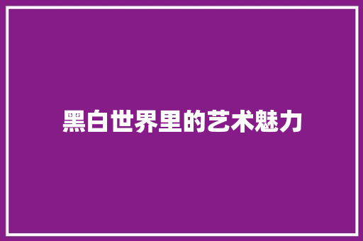 黑白世界里的艺术魅力