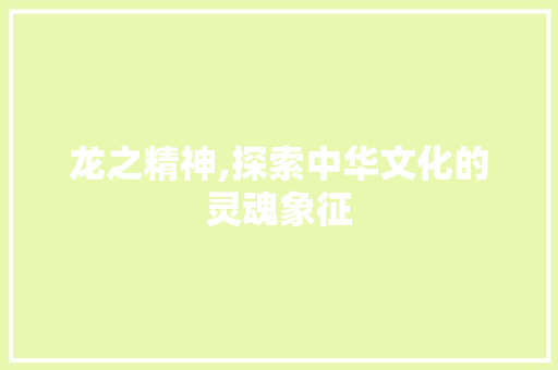 龙之精神,探索中华文化的灵魂象征