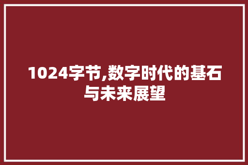 1024字节,数字时代的基石与未来展望