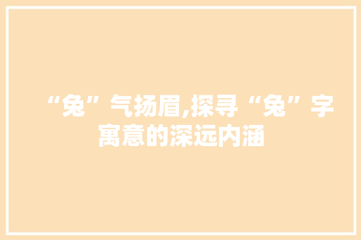 “兔”气扬眉,探寻“兔”字寓意的深远内涵